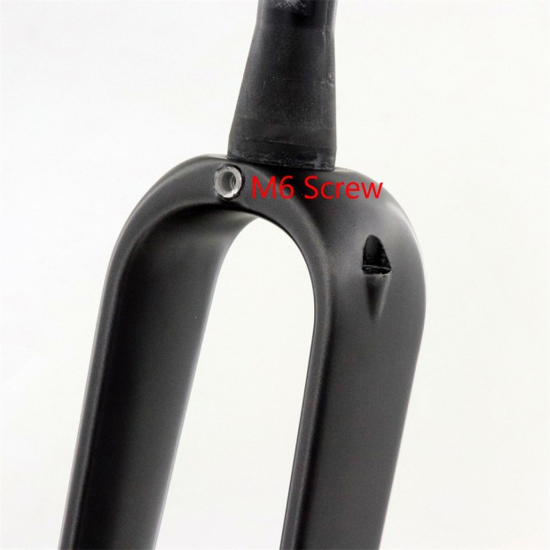 700x45C 碳纤维砾石叉，12x100mm 穿轴