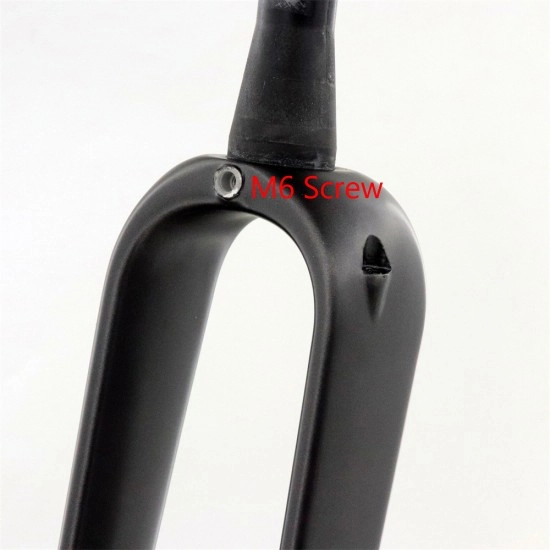 700x45C Carbon Gravel Fork Thru Axle 12x100mm